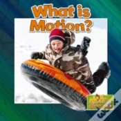 Capa do artigo What Is Motion?