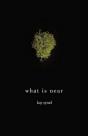 What Is Near - Preview