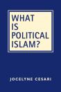 What Is Political Islam? - Preview