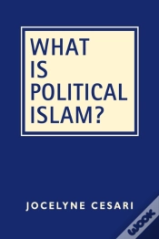 Capa do artigo What Is Political Islam?