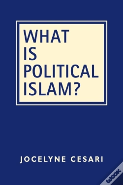 Capa do artigo What Is Political Islam?