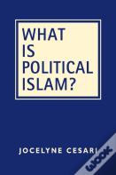What Is Political Islam?
