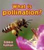 What Is Pollination? - Preview