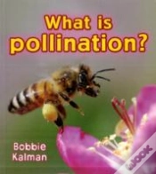 Capa do artigo What Is Pollination?