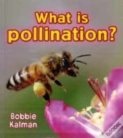 Capa do artigo What Is Pollination?
