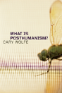 What Is Posthumanism? - Preview