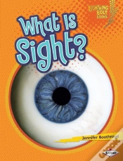 Capa do artigo What Is Sight?