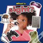 What Is Sight?
