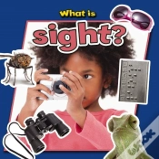 Capa do artigo What Is Sight?