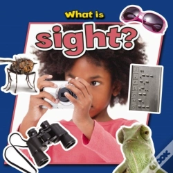 Capa do artigo What Is Sight?