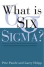 What Is Six Sigma? - Preview