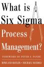 What Is Six Sigma Process Management? - Preview