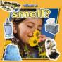 What Is Smell? - Preview