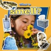 What Is Smell?