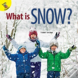 Capa do artigo What Is Snow?