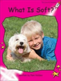 What Is Soft? - Preview