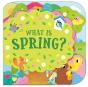 What Is Spring? - Preview