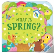 Capa do artigo What Is Spring?