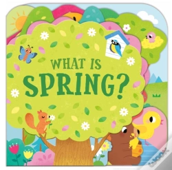 Capa do artigo What Is Spring?