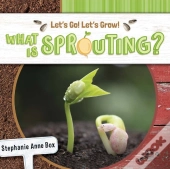 What Is Sprouting?