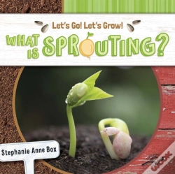 Capa do artigo What Is Sprouting?