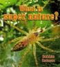 What Is Super Nature? - Preview