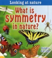 Capa do artigo What Is Symmetry In Nature?