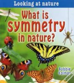 Capa do artigo What Is Symmetry In Nature?