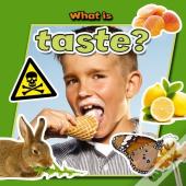 What Is Taste?