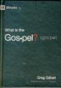 What Is The Gospel? - Preview