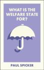 What Is The Welfare State For? - Preview