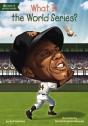 What Is The World Series? - Preview