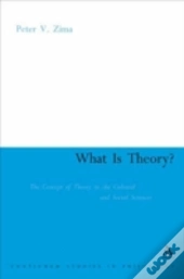 What Is Theory?