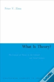 Capa do artigo What Is Theory?
