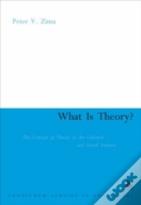 What Is Theory?