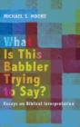 What Is This Babbler Trying To Say? - Preview