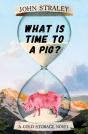What Is Time To A Pig? - Preview