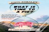 What Is Time To A Pig?