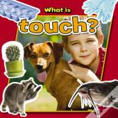 What Is Touch?
