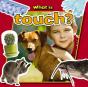 What Is Touch? - Preview