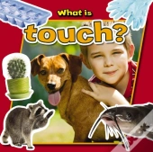 What Is Touch?