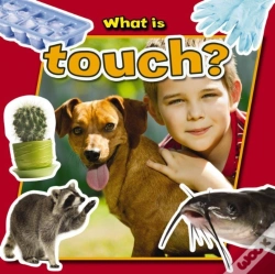 Capa do artigo What Is Touch?