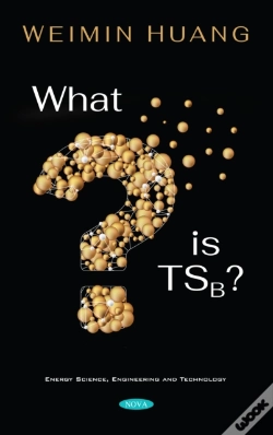 Capa do artigo What Is Tsb?