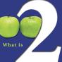 What Is Two? - Preview
