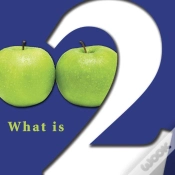Capa do artigo What Is Two?