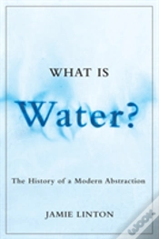 Capa do artigo What Is Water?