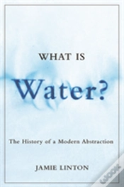 Capa do artigo What Is Water?