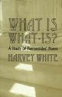 What Is What-Is? - Preview