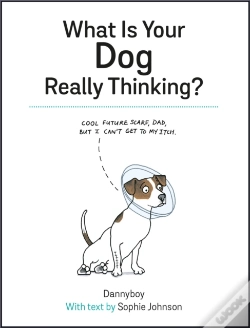 Capa do artigo What Is Your Dog Really Thinking?