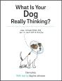 What Is Your Dog Really Thinking? - Preview
